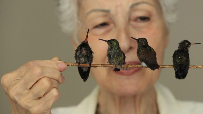 στον-αέρα-562502560