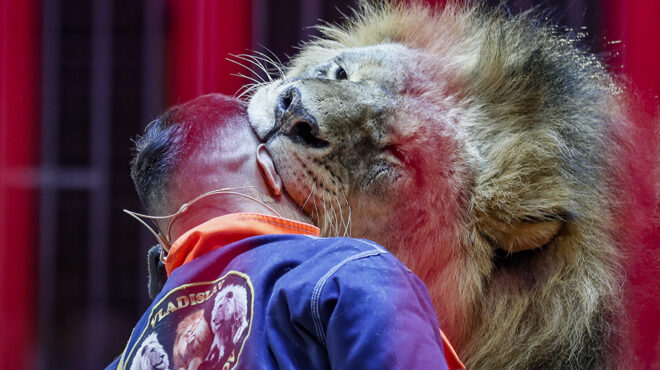 υπάρχουν-ακόμη-562521322