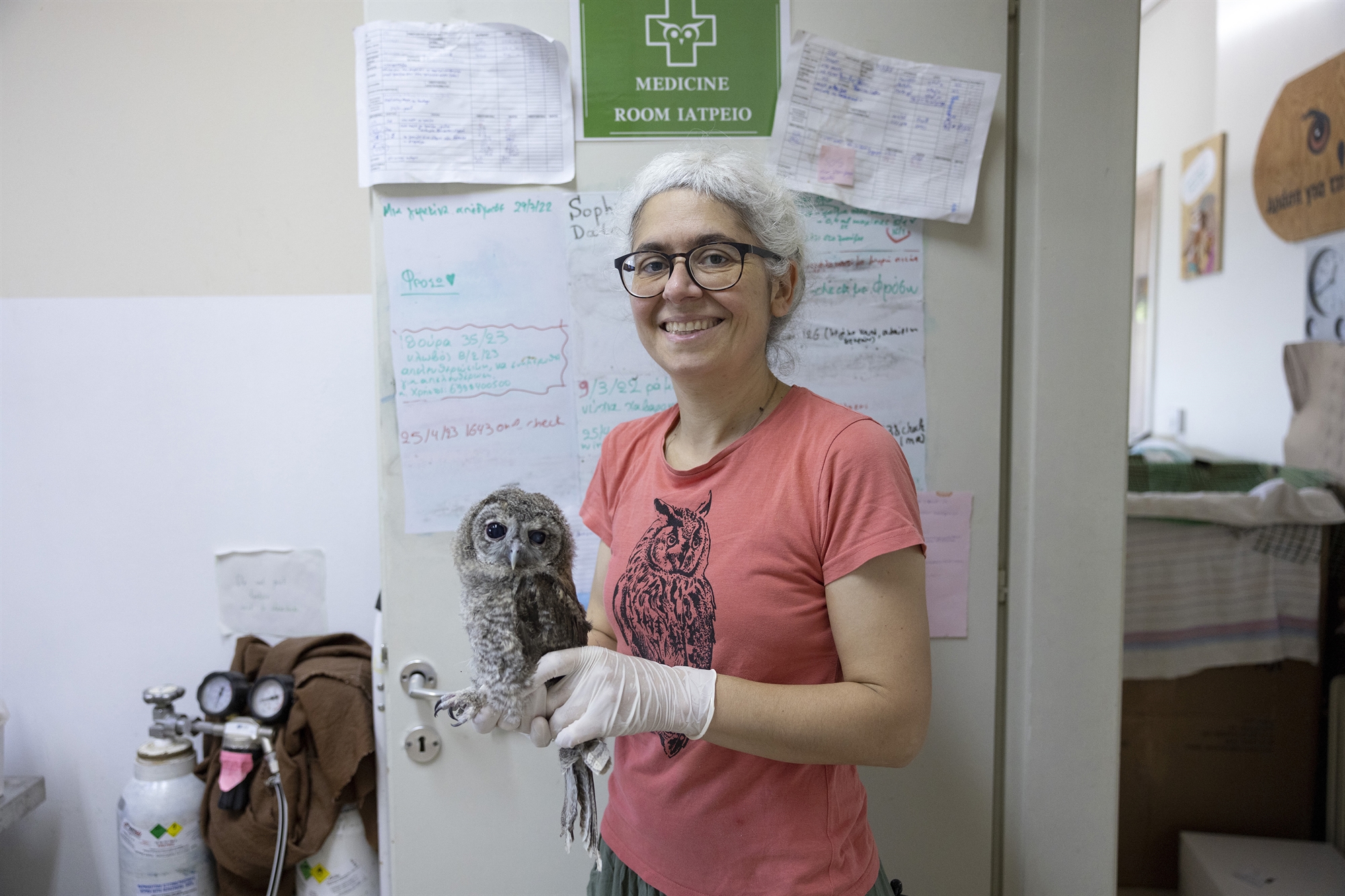 Προστασία πτηνών: «Τους δίνουμε μια δεύτερη ευκαιρία στη ζωή»-1