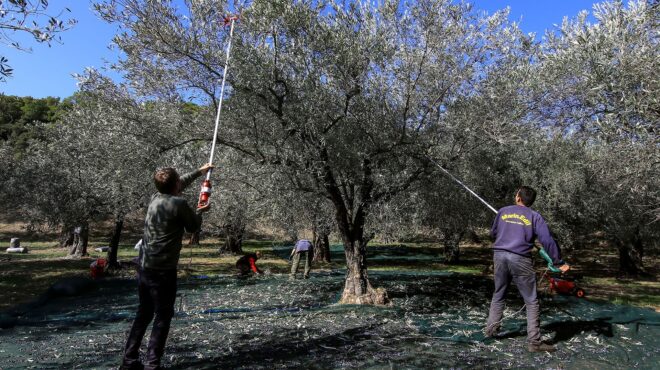 δυπα-πιλοτικό-πρόγραμμα-μετακίνησης-562547413