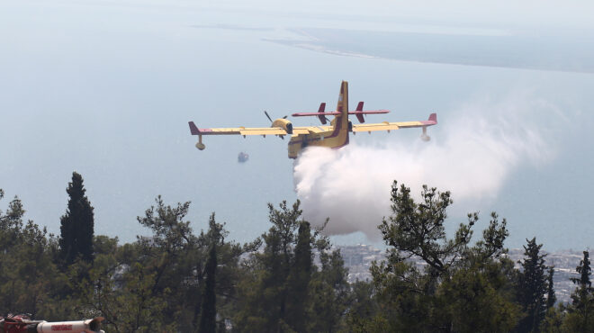 φωτιά-στο-αλιβέρι-μάχη-με-επίγεια-και-ε-562508791