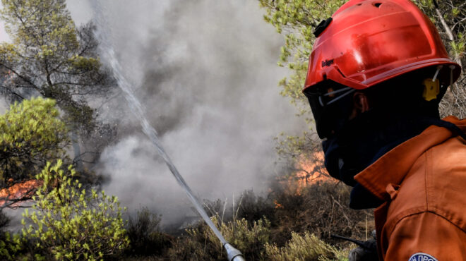 νάξος-καλύτερη-εικόνα-παρουσιάζει-η-φ-562523485