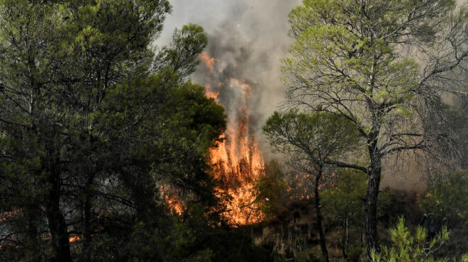 πυροσβεστική-39-δασικές-πυρκαγιές-το-τε-562523725