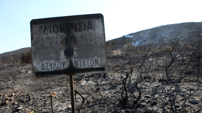 φωτιές-to-drone-του-guardian-πάνω-από-τα-καμένα-στην-α-562527373