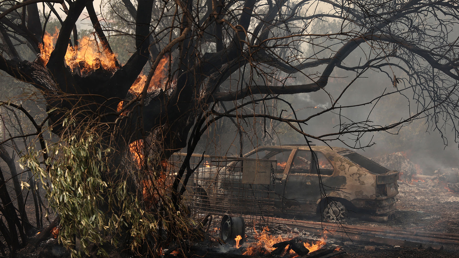 Ολονύχτιο θρίλερ σε Λουτράκι και Μάνδρα – Αγωνία για το μέτωπο στη Ρόδο-1