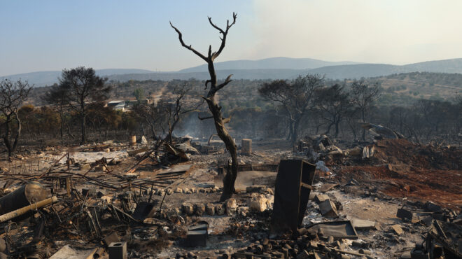 ερευνα-οι-φετινοί-καύσωνες-δεν-είχαν-σ-562538023