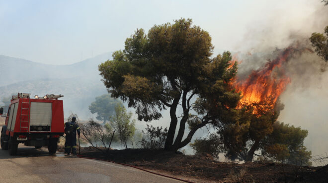 πυρκαγιά-στην-κάρυστο-οριοθετημένη-562537276