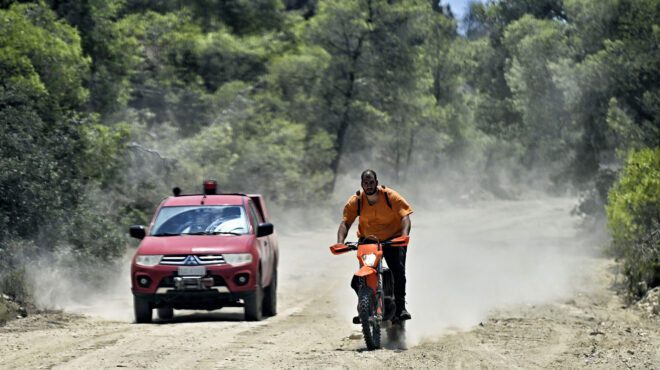 η-μάνδρα-επί-δεκαετίες-μετράει-πληγέ-562530196