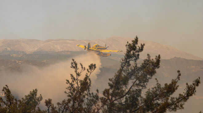 αλγερία-φωτιές-κοστίζουν-τη-ζωή-σε-34-αν-562537258