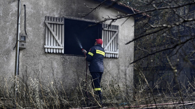 πυροσβεστική-61-δασικές-πυρκαγιές-το-τε-562540165