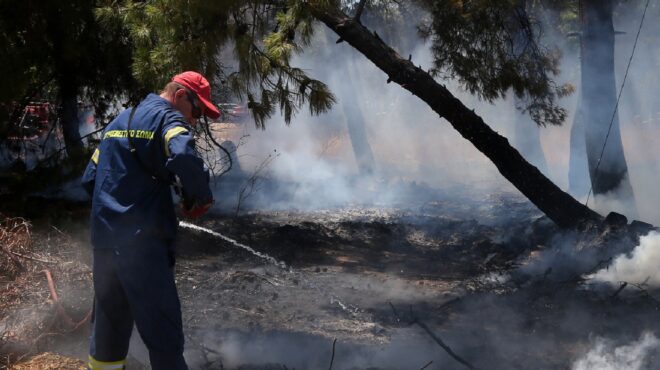 πολύ-υψηλός-κίνδυνος-πυρκαγιάς-το-σάβ-562543435