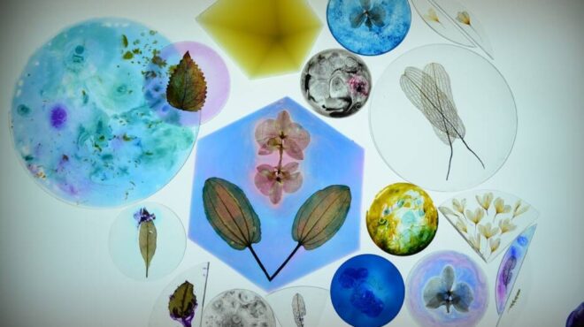 η-πολιτιστική-ατζέντα-της-τετάρτης-26-07-562538974