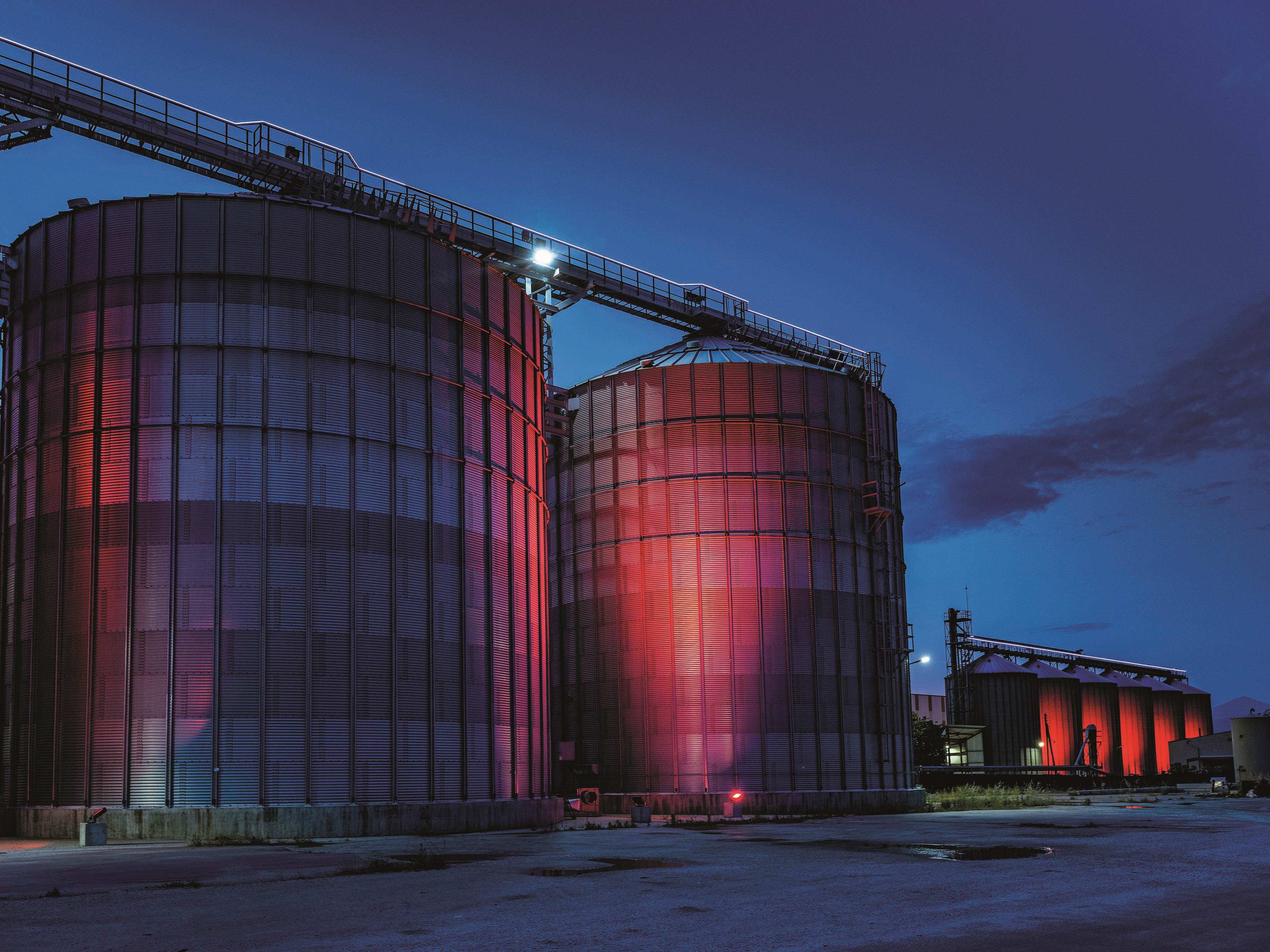 Οι σιτοβολώνες της Θεσσαλίας σε πρώτο πλάνο-2