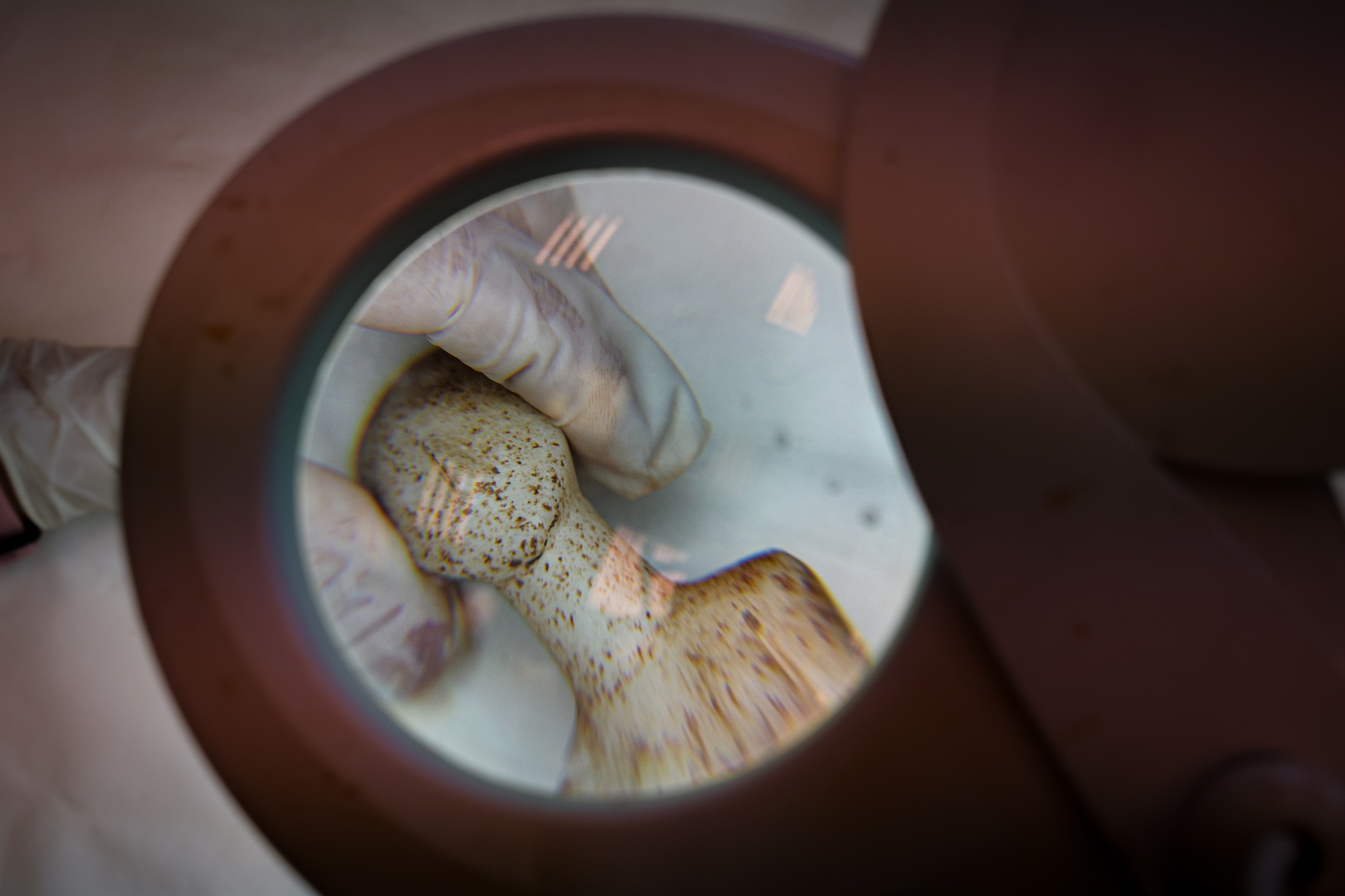 Ενα νέο μουσείο γεννιέται στη Νάξο-2