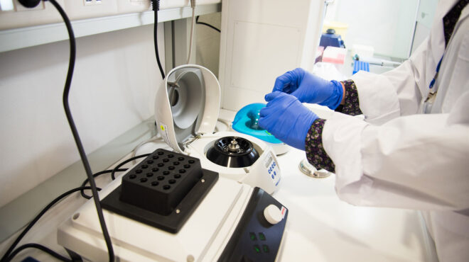 τα-ποντίκια-και-το-μυστικό-της-μακροζω-562545832