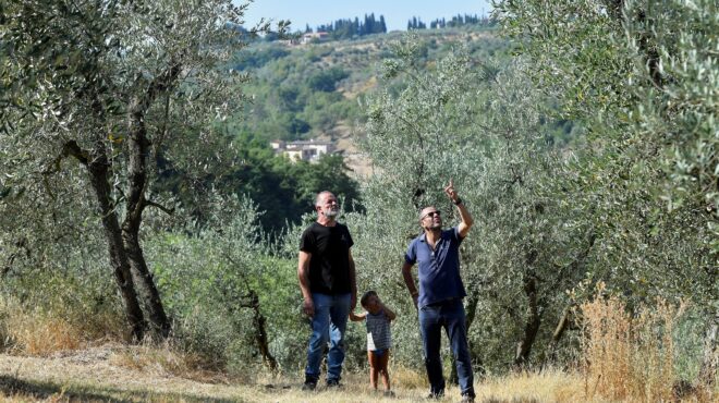 ο-καύσωνας-καίει-την-αγροτική-παραγ-562540795