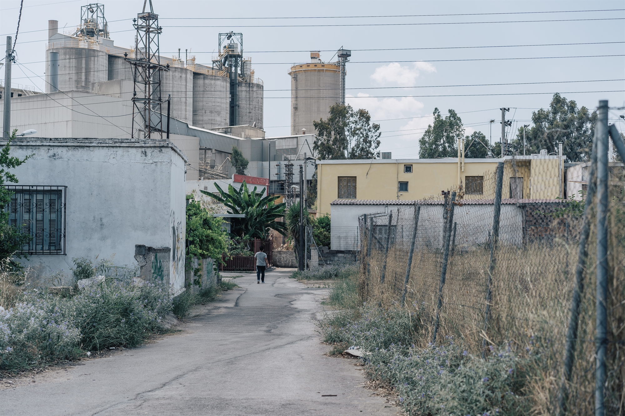 Το μωσαϊκό της «πίσω αυλής»-3