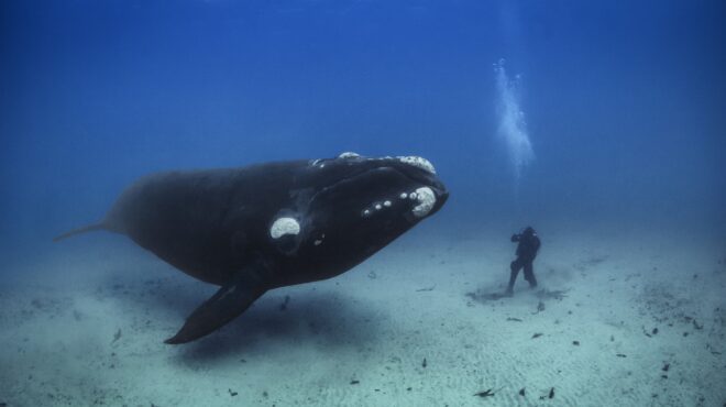 γιατί-αναζητούμε-την-περιπέτεια-562522474