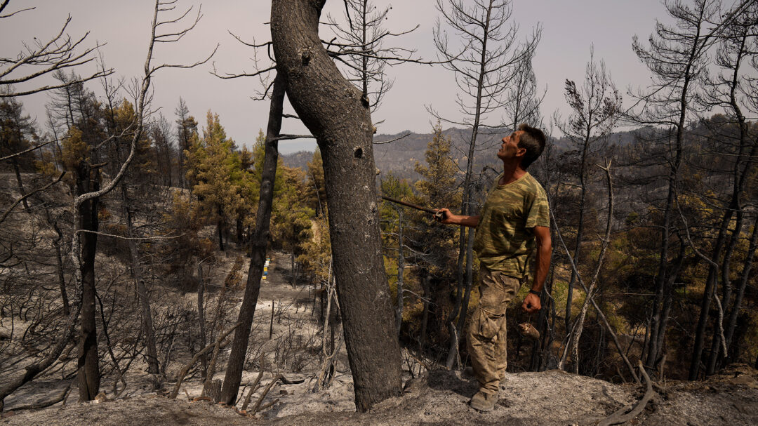 είμαστε-ακόμα-σε-κίνδυνο-ρητινοπαρ-562532644
