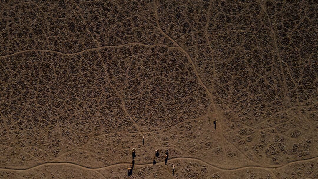 ξηρασίες-πυρκαγιές-και-αύξηση-του-ποσ-562518937