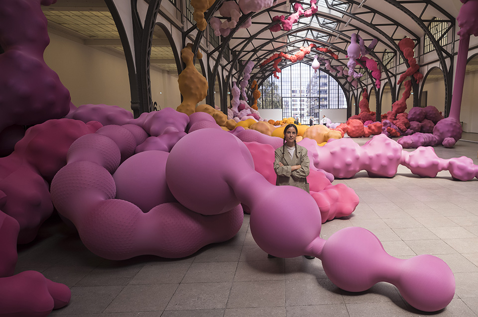 Μια σελήνη στην Χιλή-1