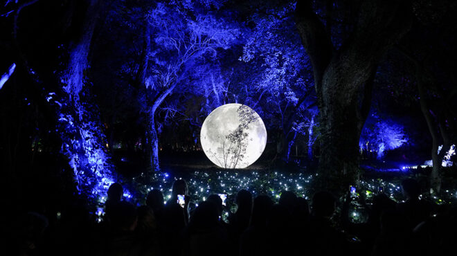 μυστικός-κήπος-562510048