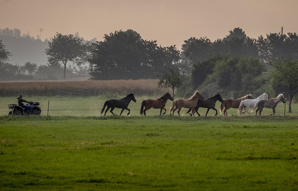 Ο Μαγκρίτ στην Ιρλανδία-2