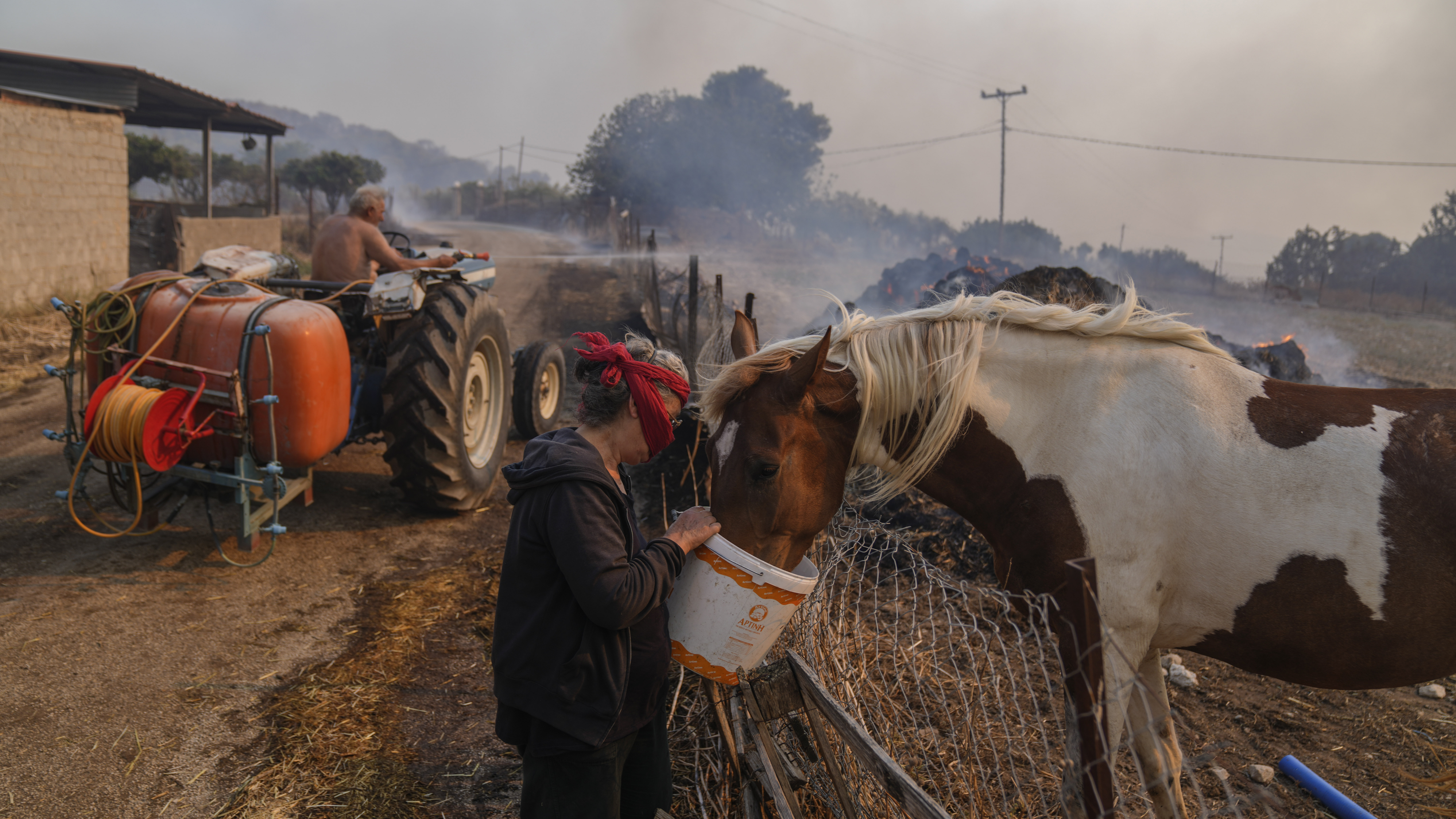 Οι ζωές των ζώων στα χέρια των εθελοντών-1