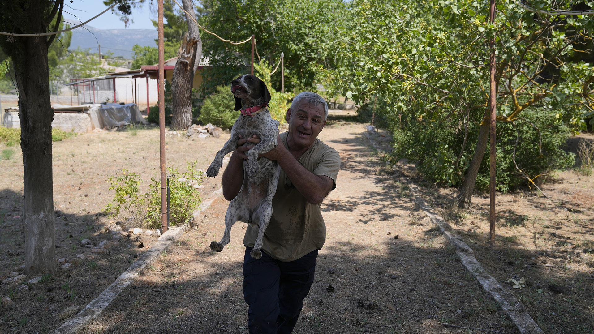 Οι ζωές των ζώων στα χέρια των εθελοντών-2