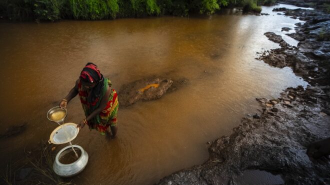 παγώνουν-οι-εξαγωγές-ρυζιού-562541134
