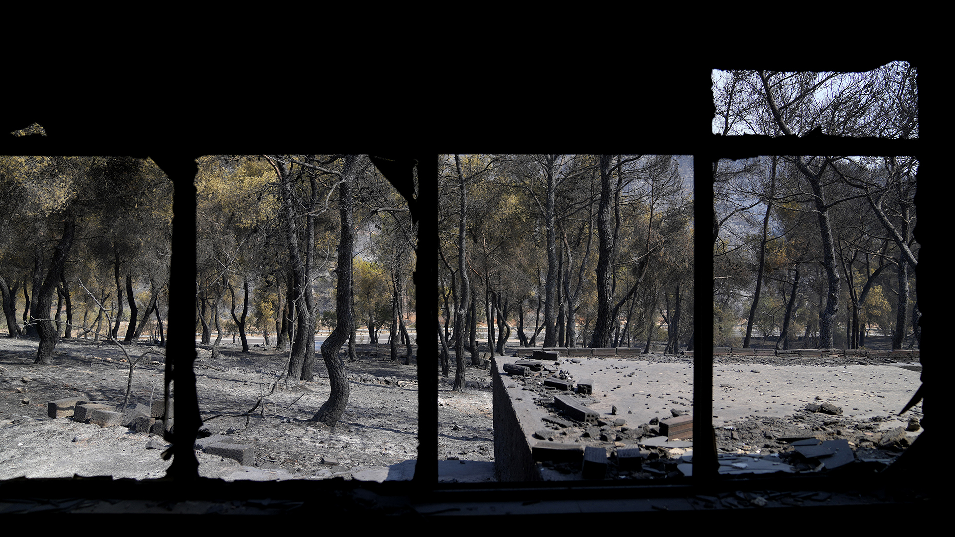 σπαταλάμε-650-ευρώ-ανά-στρέμμα-και-αποτ-562530829