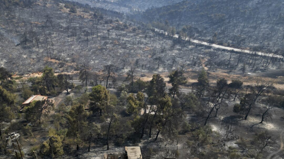 φωτιές-εγιναν-στάχτη-35-εκατ-στρέμματα-562530709