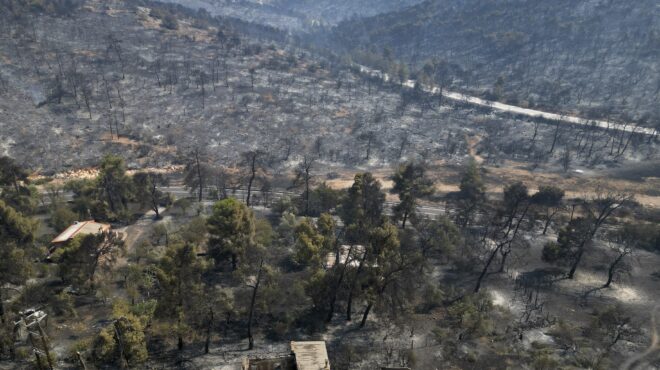 φωτιές-εγιναν-στάχτη-35-εκατ-στρέμματα-562530709