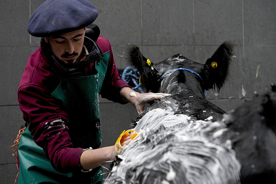 Επιδείξεις ασφάλειας-1