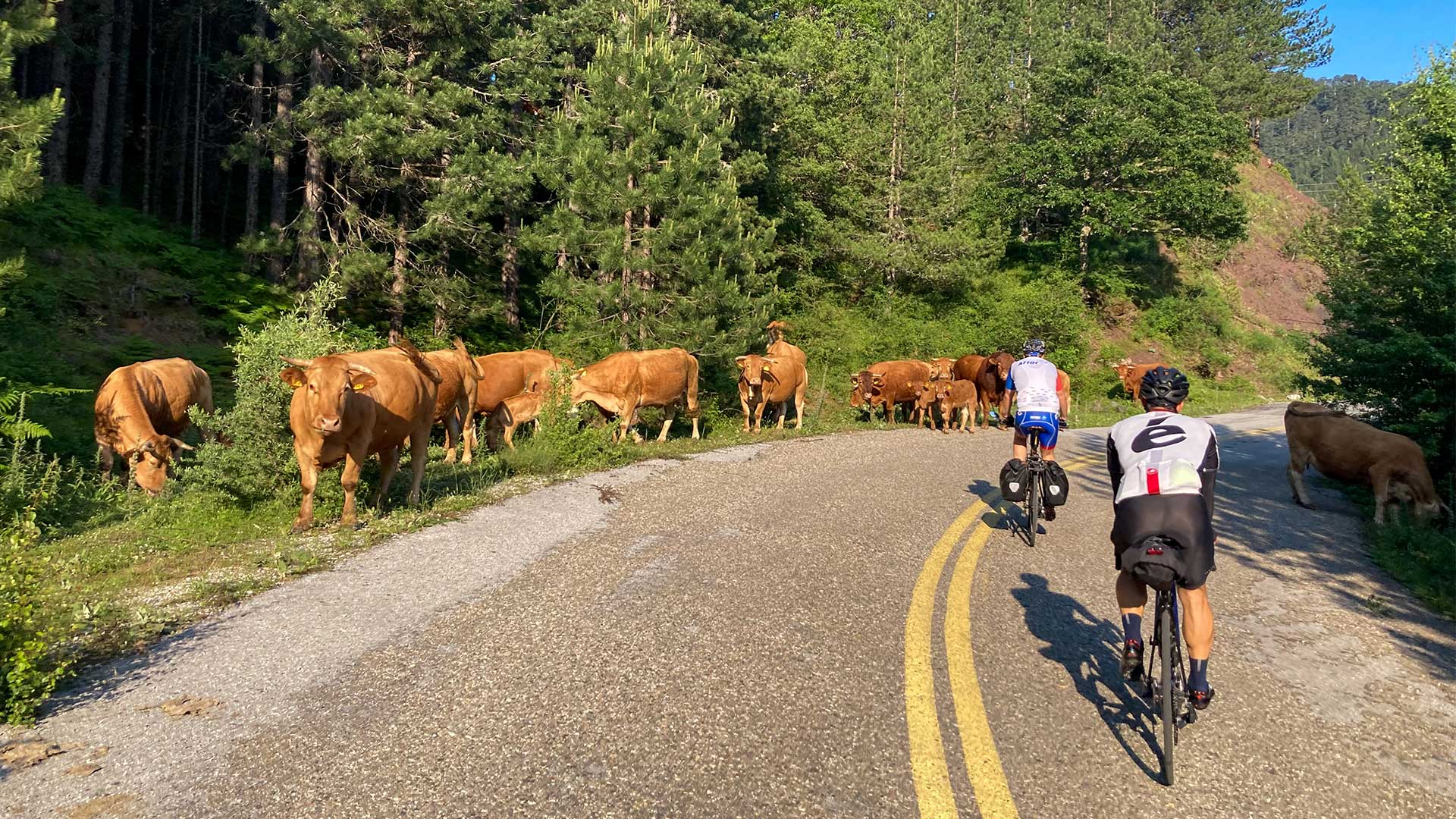 Ο γύρος της Πίνδου με ποδήλατα-6