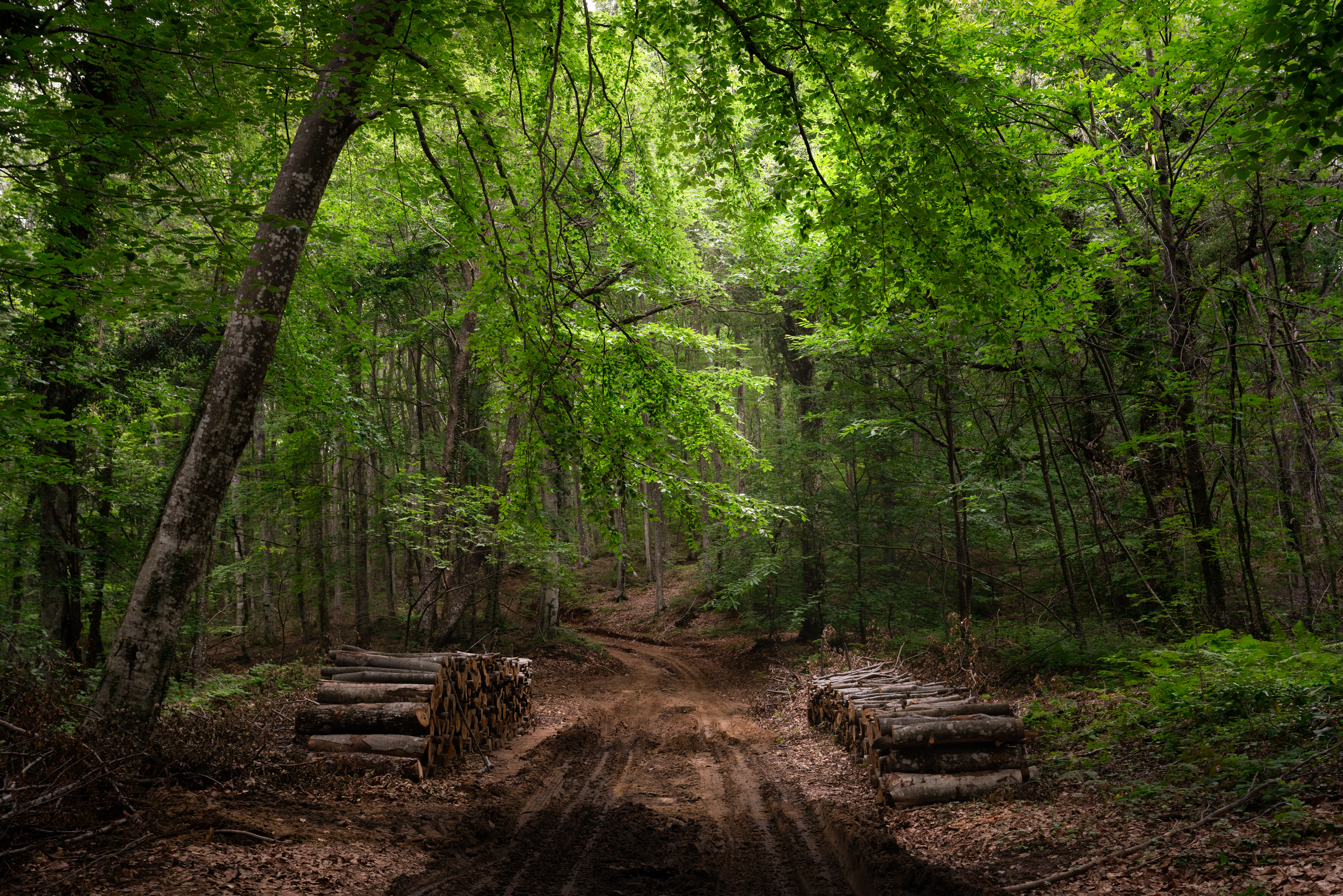 Η μεταλλευτική βιομηχανία συναντά τον τουρισμό.  Μια αρμονική συνύπαρξη δεκαετιών-4