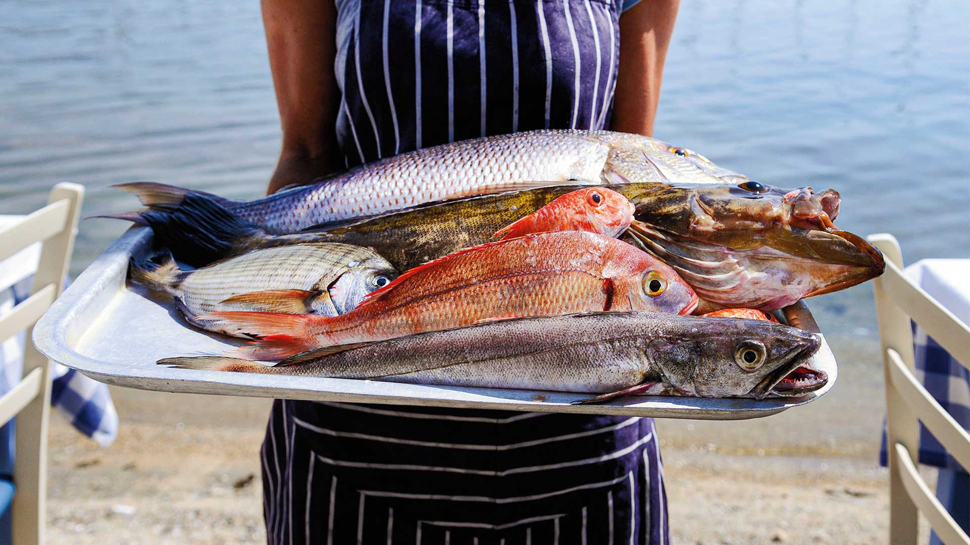 Τα road trips του καλοκαιριού: Σιθωνία-3