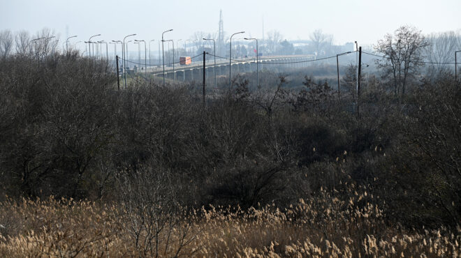 αλεξανδρούπολη-σύλληψη-δύο-διακινητ-562506058