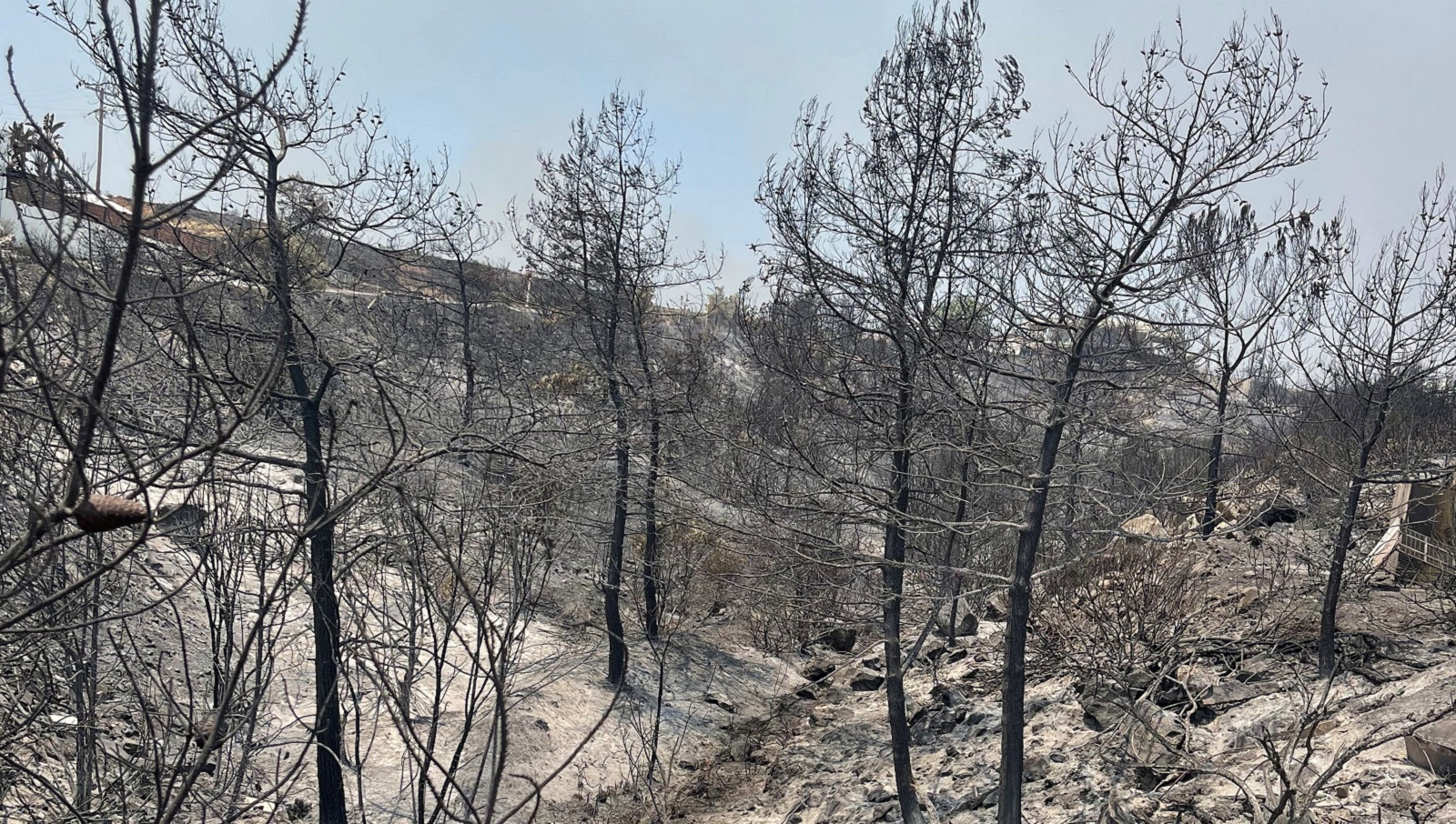 Ολονύκτια πολυμέτωπη μάχη με τις φλόγες-1