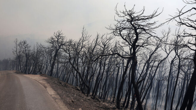 αρθρο-νίκου-μπόκαρη-στην-κ-μια-ισχυρ-562530259