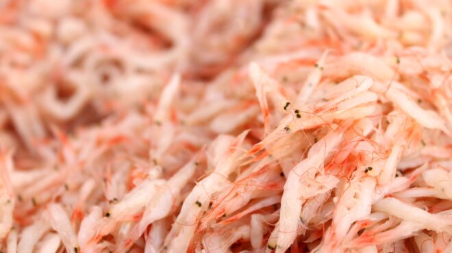 νότια-κορέα-τέλος-το-αλάτι-στα-ράφια-τω-562515073