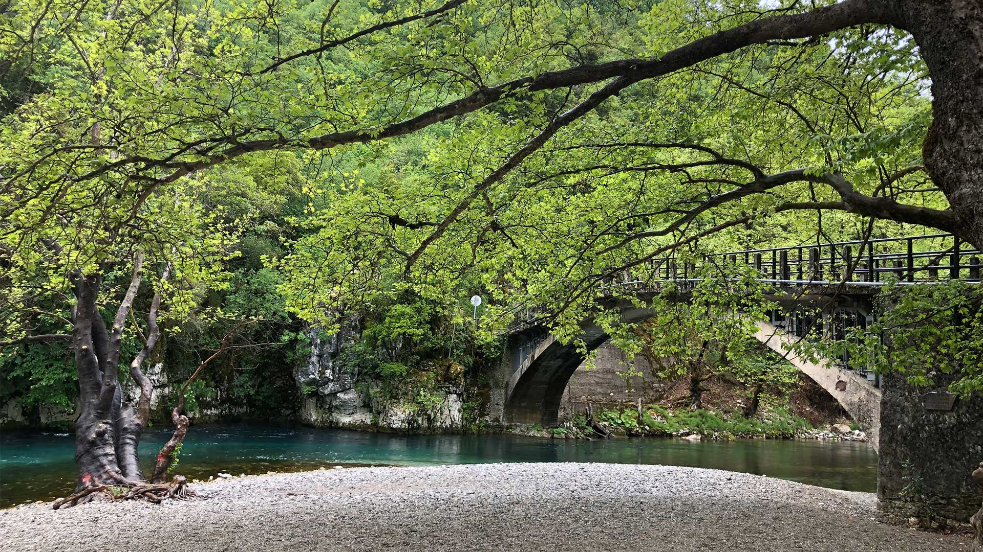 «Γιε μου, γεννήθηκες στη Θεσσαλονίκη»-2
