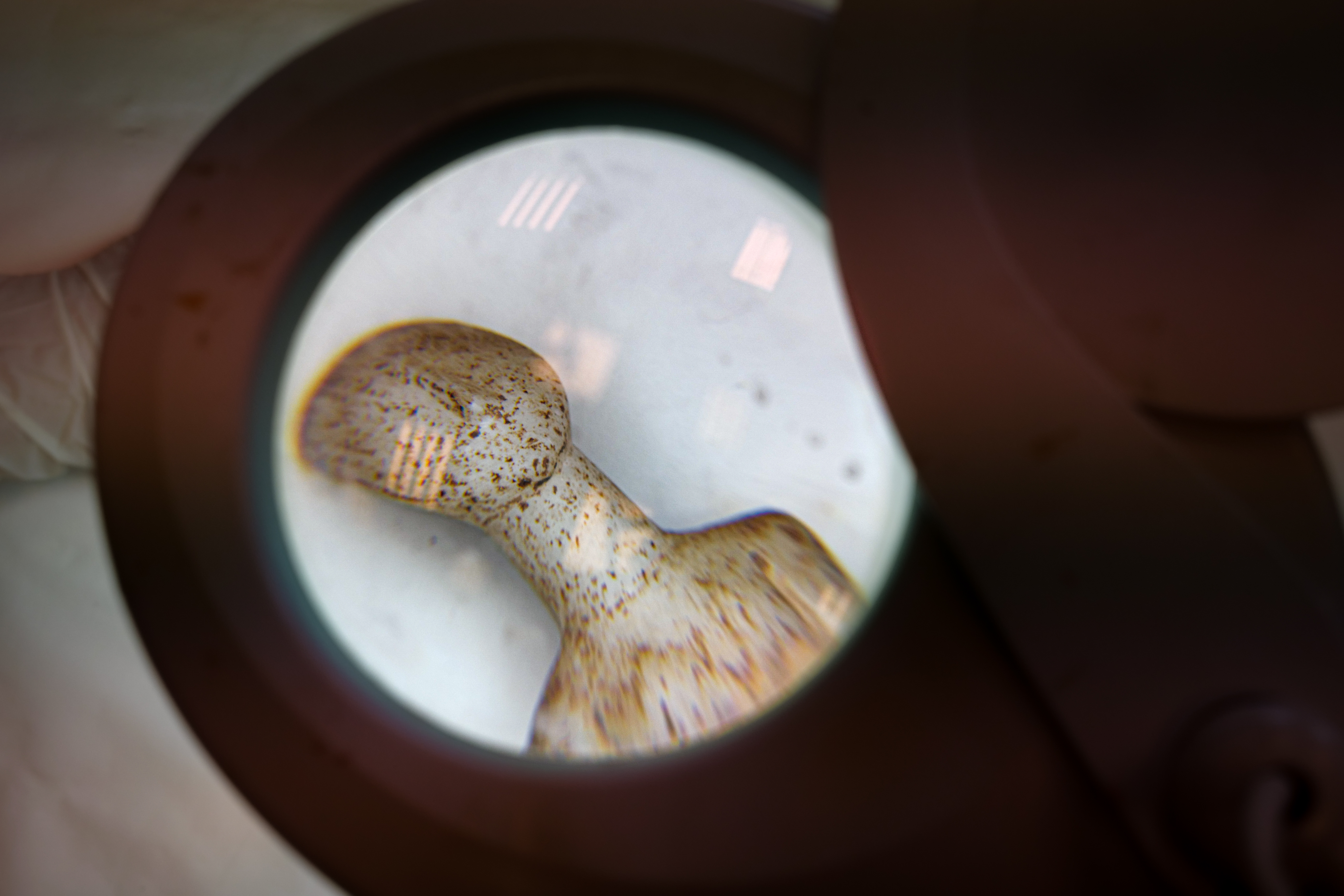 Ενα νέο μουσείο γεννιέται στη Νάξο-11