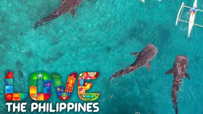 συγνώμη-από-τις-φιλιππίνες-για-διαφ-562501774