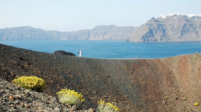 ενας-παράδεισος-υπερανθεκτικών-μι-562535155