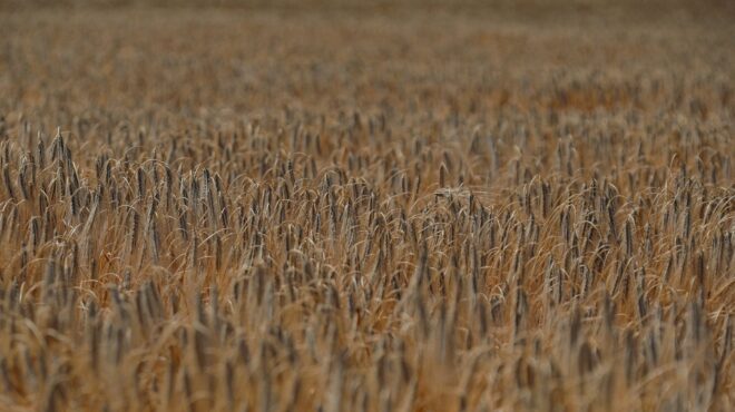 ζελένσκι-συνεργασία-με-οηε-για-να-επαν-562526092