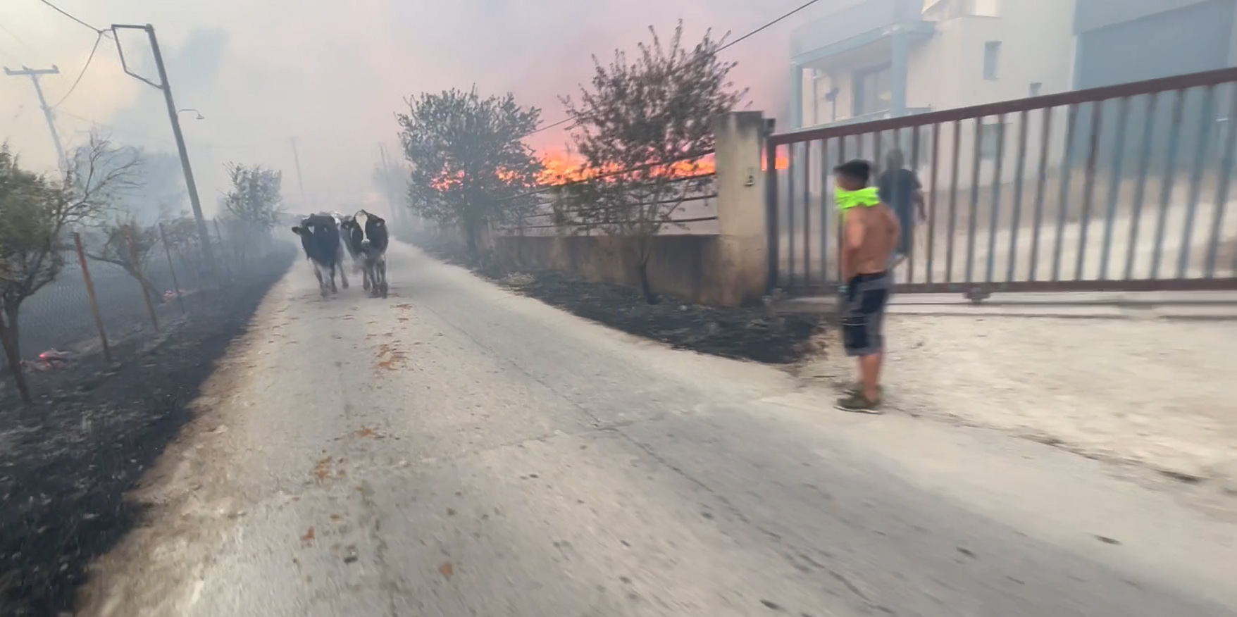 Βόλος: «Είμαστε ακόμα μουδιασμένοι» -1