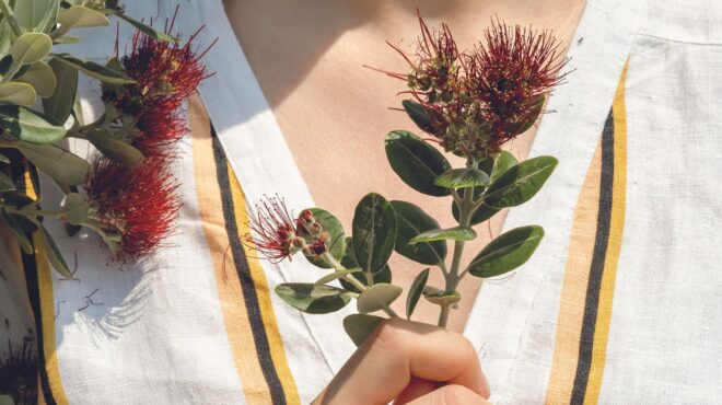 μετροσίδερος-το-χριστουγεννιάτικο-δ-562519315