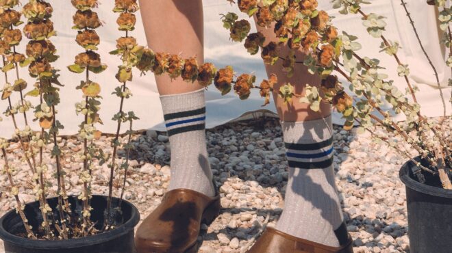 λυχναράκι-φυτρώνει-εκεί-που-δεν-το-περ-562532602