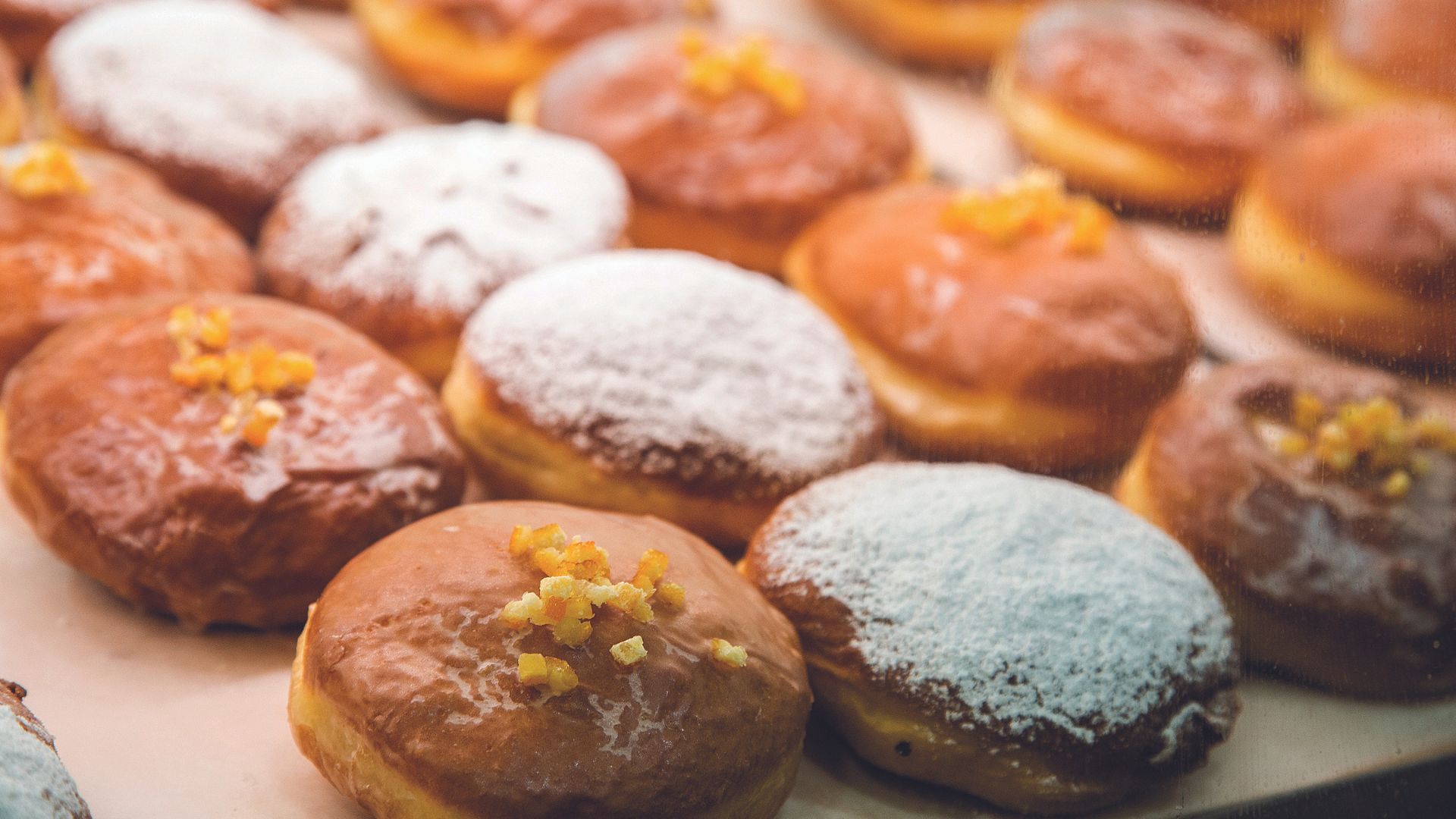 Βρότσλαβ: Μια φοιτητική «προσφυγούπολη» στα νότια της Πολωνίας-6